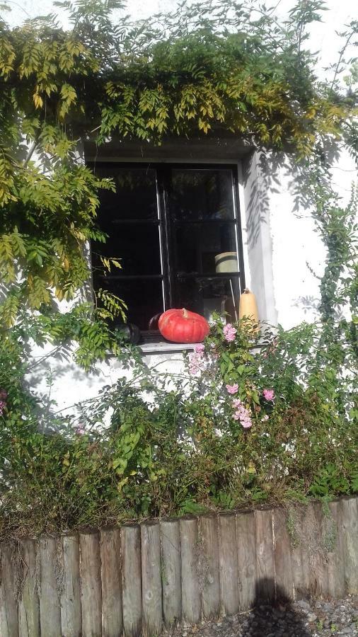 La Colline Des Roses Bed & Breakfast Conchil-le-Temple Exterior photo