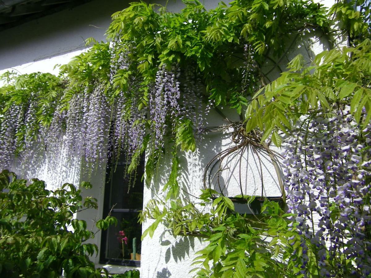 La Colline Des Roses Bed & Breakfast Conchil-le-Temple Exterior photo